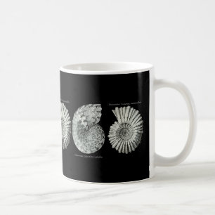Caneca De Café Amonites