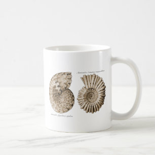 Caneca De Café Amonites