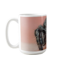 Amor de oito pernas: Merch de aranha de jumper pre