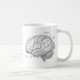 Caneca De Café Anatomia do cérebro do vintage