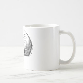 Caneca De Café Anatomia do crânio