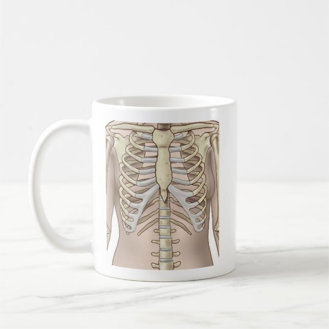 Caneca De Café Anatomia do esqueleto feminino do felpudo Express® (Esquerda)