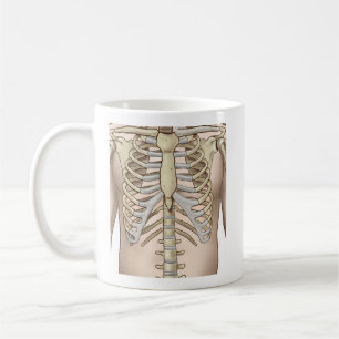 Caneca De Café Anatomia do esqueleto masculino do felpudo Express