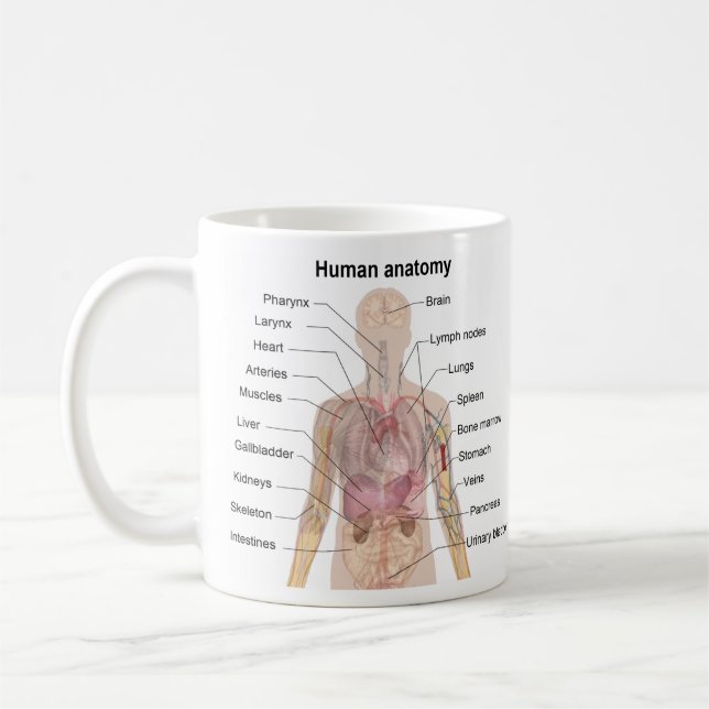 Caneca De Café Anatomia humana (Esquerda)