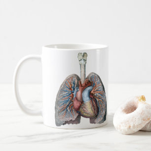 Caneca De Café Anatomia Humana Vintage Pulmões Coração Órgãos San