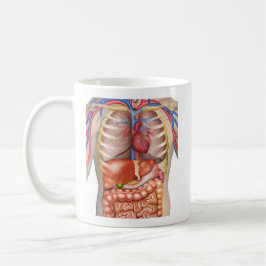 Caneca De Café Anatomia interna do Felpudo Express®