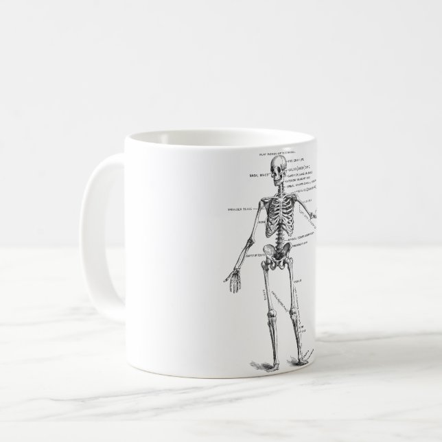 Caneca De Café Anatomia médica vegetativa diagrama do esqueleto m (Frente Esquerda)