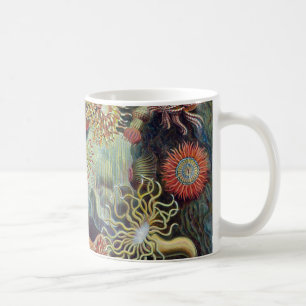 Caneca De Café Anêmona de mar de Ernst Haeckel Actiniaea