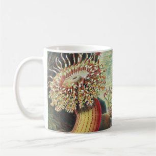 Caneca De Café Anêmonas do Mar, Actiniae Seeanemonen Ernst Haeck