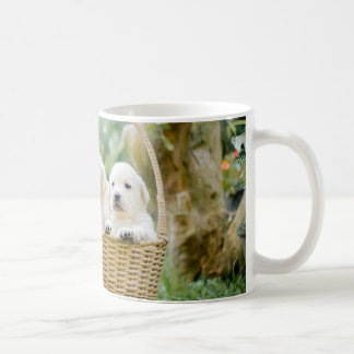 Caneca De Café Animais Cães De Pet De Canino De Papoila