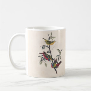 Caneca De Café Animais Selvagens de Aves Pintadas com Audubon