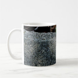 Caneca De Café Anole Lizard 6704