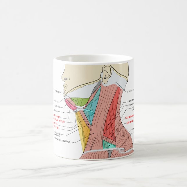 Caneca De Café Anterior Triângulo Posterior Anatomia do pescoço M (Centro)
