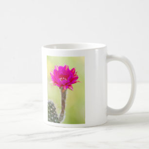 Caneca De Café Antimatéria excitante Cactus Bloom