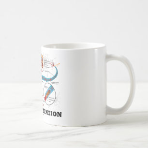 Caneca De Café Apenas atenção do pagamento (neurônio/sinapse)