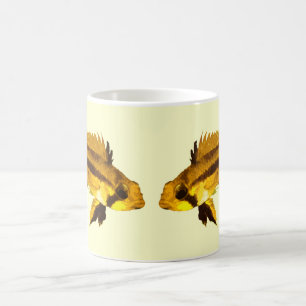 Caneca De Café Apistogrammas Ciclídeo Anão