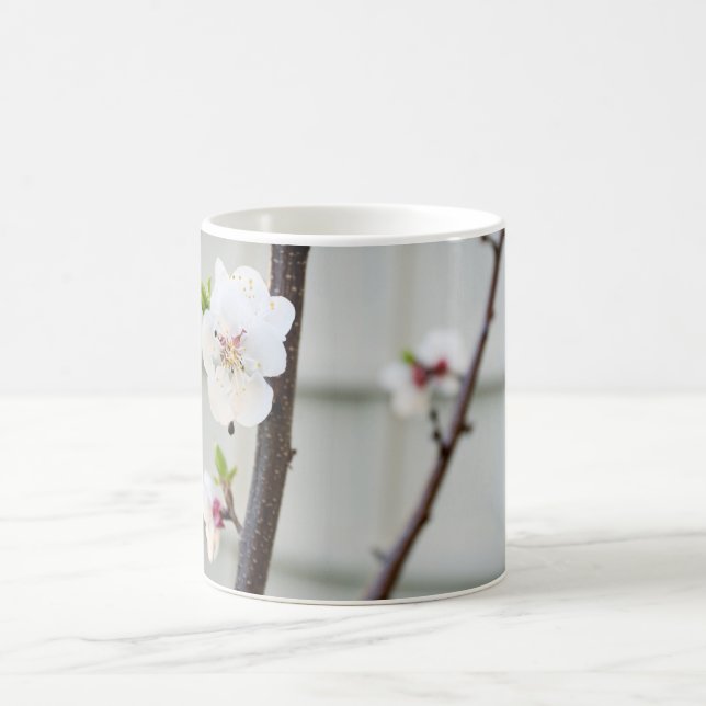 Caneca De Café Apricot Blossom (Centro)