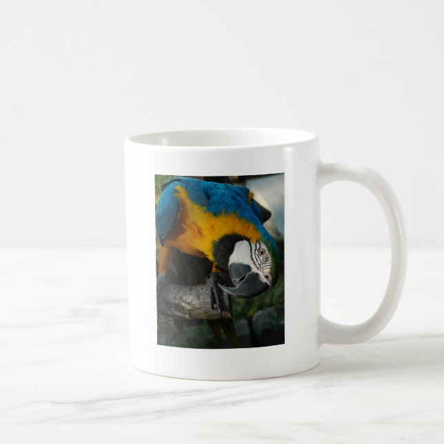 Caneca De Café aqui está olhando-o (Direita)