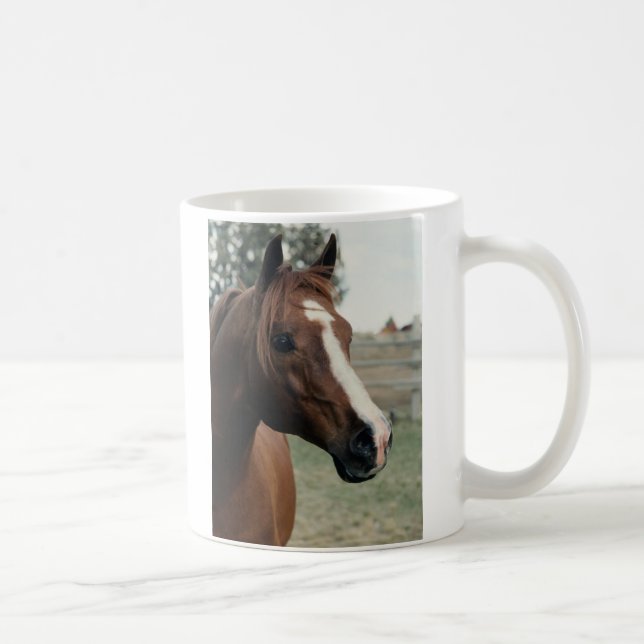 Caneca De Café Árabe em Pasture (Direita)