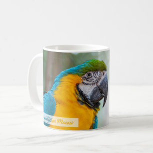 Caneca De Café Arara Azul-e-Amarela Salmo 145:9 ARC
