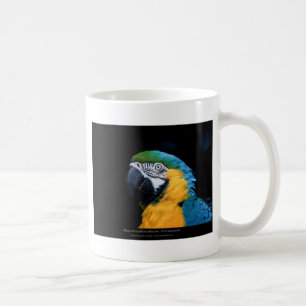 Caneca De Café Ararauna do Ara - Macaw Azul-e-amarelo 01