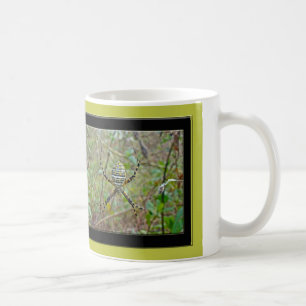 Caneca De Café Argiope trifasciata Orb Weaver Spider