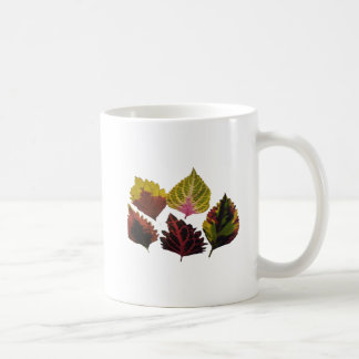 Caneca De Café art floral leaves