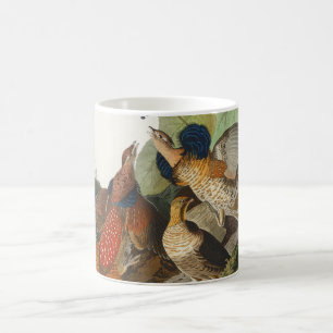 Caneca De Café Arte da Natureza da Perdiz Rufa Vintage Audubon