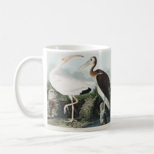 Caneca De Café Arte da Natureza do Íbis Branco Vintage Audubon