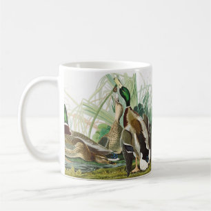 Caneca De Café Arte da Vida Selvagem do Pato-real Audubon Vintage