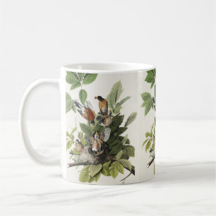 Caneca De Café Arte de ninho de pássaro do melro-americano Audubo