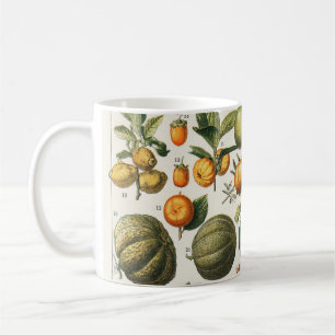 Caneca De Café Arte de Poster de Frutas Botânicas Francesas Vinta