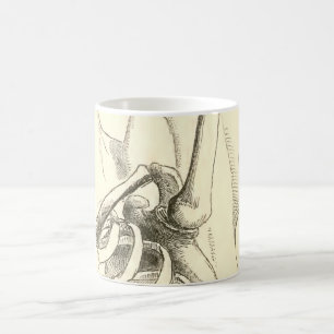 Caneca De Café Articulação do úmero da anatomia   do vintage