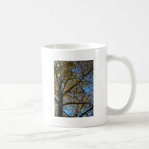 Caneca De Café Árvore Sycamore no outono contra um céu azul