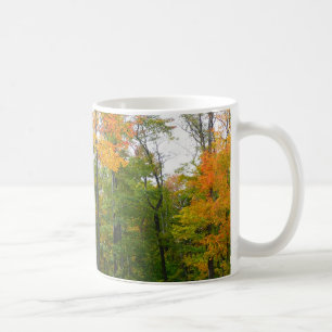 Caneca De Café Árvores de Bordo Outono Fotografia da Natureza
