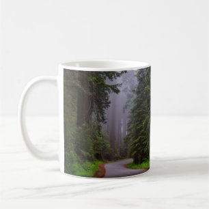 Caneca De Café Árvores de Sequoias Vermelhas Gigantes, Winding Ro