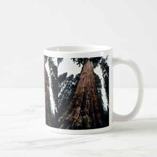 Caneca De Café Árvores gigantes - parque nacional de sequóia