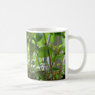 Caneca De Café As plantas mantêm-se crescer sementes