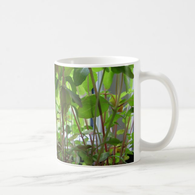 Caneca De Café As plantas mantêm-se crescer sementes (Direita)