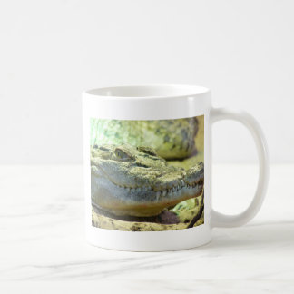 Caneca De Café áspero