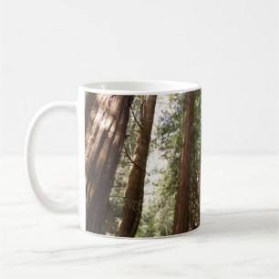 Caneca De Café Até Sequoias II no Monumento Nacional de Muir Wood