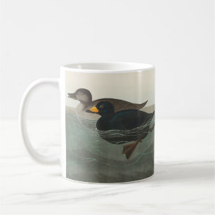 Caneca De Café Audubon American Scoter Duck Classic