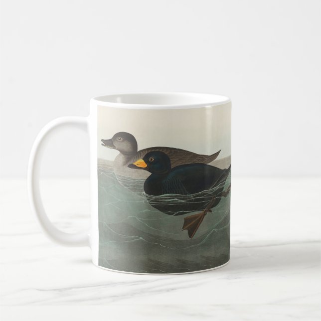 Caneca De Café Audubon American Scoter Duck Classic (Esquerda)