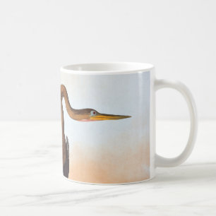 Caneca De Café Audubon: Anhinga