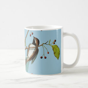 Caneca De Café Audubon: Chickadee