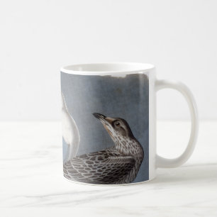 Caneca De Café Audubon: Gaivota Anel-Faturada