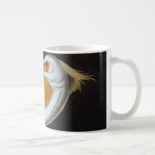 Caneca De Café Audubon: Grande pelicano branco
