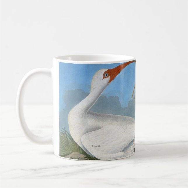 Caneca De Café Audubon: Íbis brancos (Esquerda)