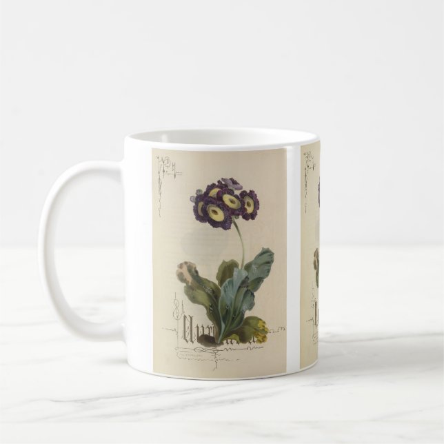 Caneca De Café Auricula por Paul Jerrard (Esquerda)
