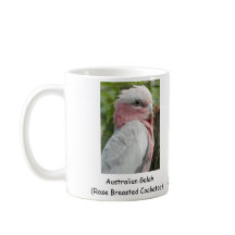 Australiano Galah (Cockatoo cor-de-rosa de
